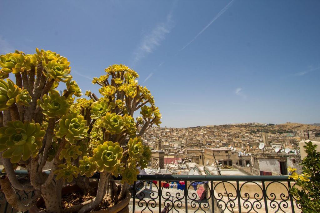 Riad La Source Bleue Fez Værelse billede